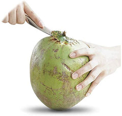 Premium Stainless Steel Coconut Opener Tool | Easy Tender Coconut Puncher & Opener